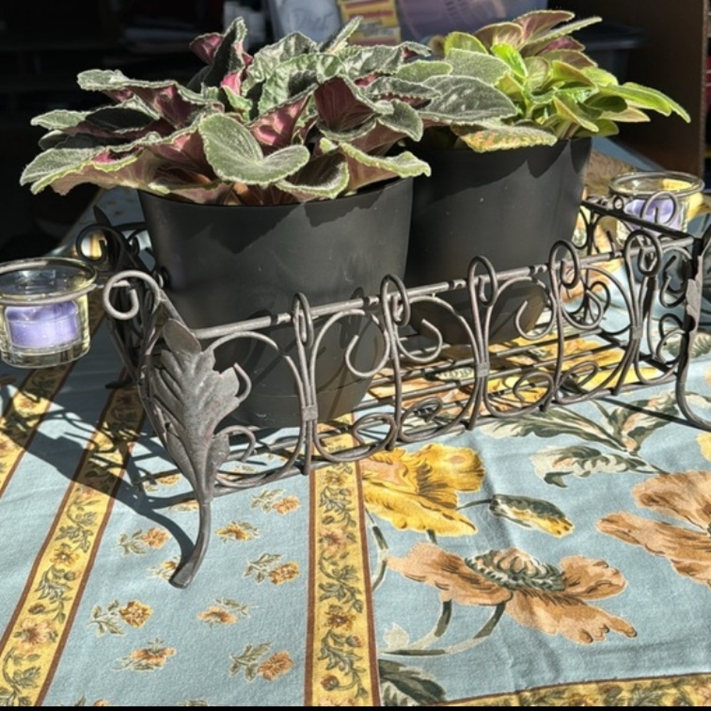 SL@H Acanthus Vintage Handled wire basket with Candle Holders